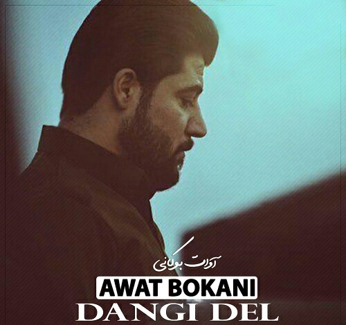 آوات بوکانی دەنگی دل